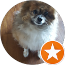 Madeline Del Sol profile picture